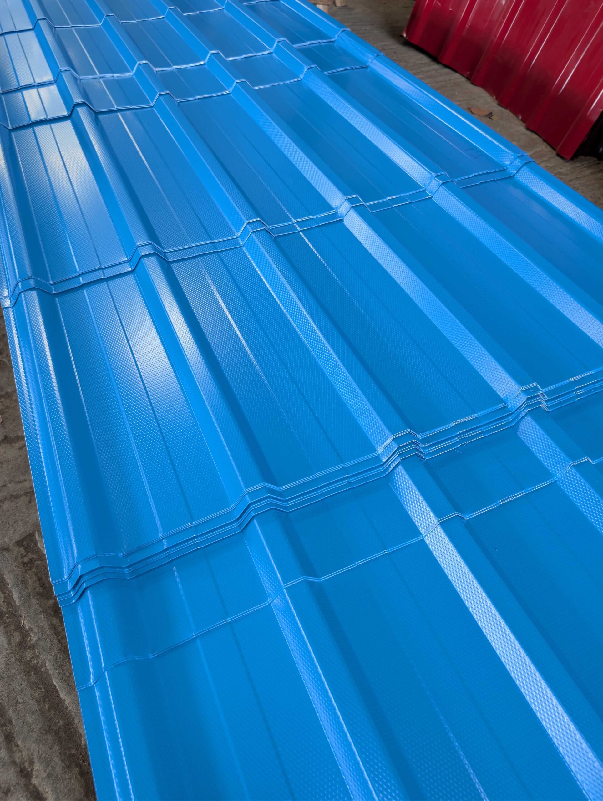 PXL_20251029_165604733